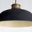 Mesmer 1 - Light Black Dome Pendant
