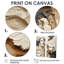 Art mural sur toile beige et brun-912664655-912664652-912664641