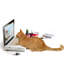 Pet Bed Accessory