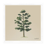 Single Tree Print