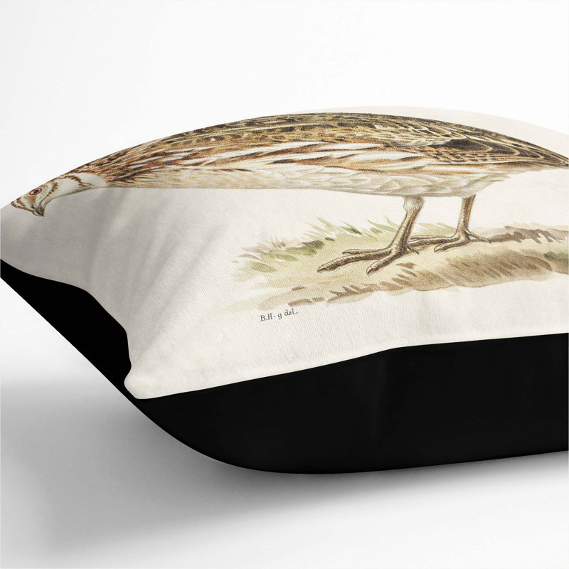 Square Throw Cushion, Black, 55cm H x 55cm W x 20cm D