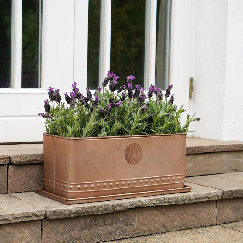 Kew Regency Outdoor Planter, 17 cm H x 43 cm W x 19 cm D, Aged Copper