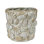 Shell Cachepot, Ceramic - 4”
