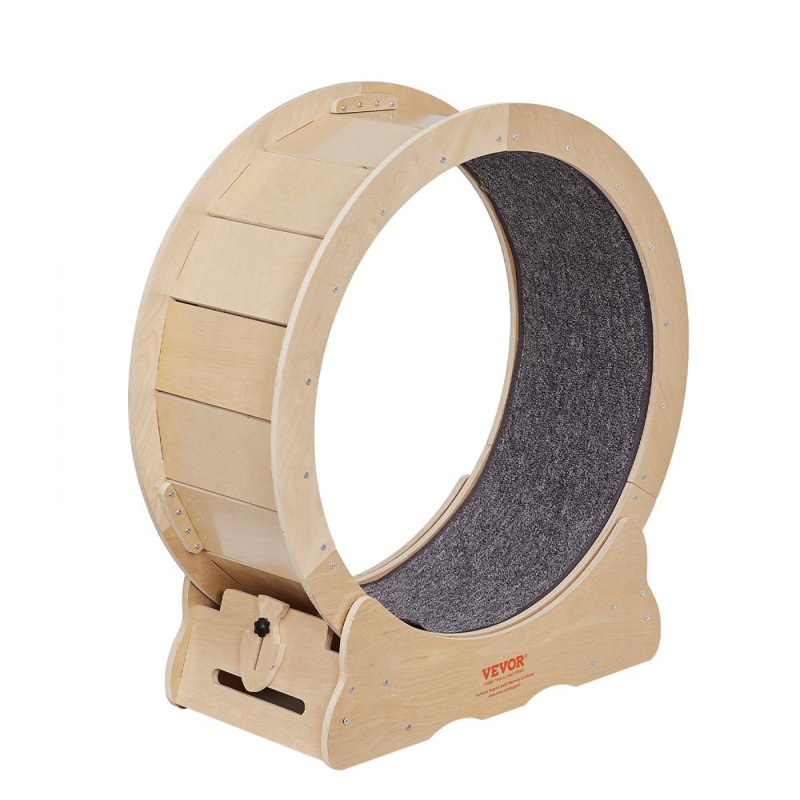 Roue d'exercice pour chat, grande roue de tapis roulant pour chats d'intérieur, roue de course pour chat