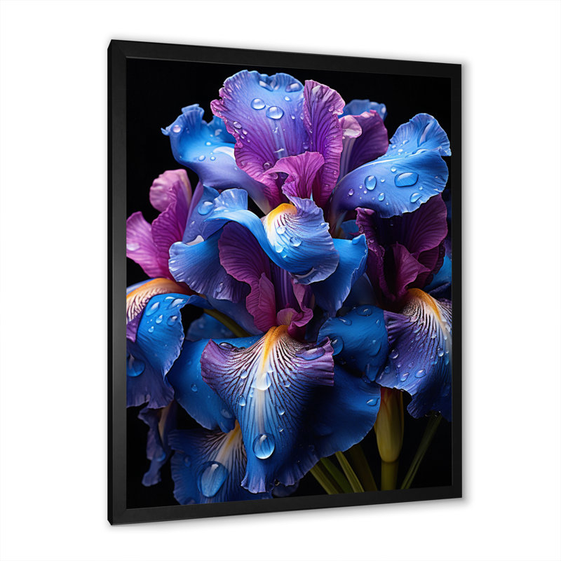 " Purple Blue Iridescent Irises " Print, 20" H x 12" W x 1" D, Black Picture Framed