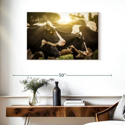 Vaches Brampt Holstein