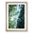 Oak Framed selected