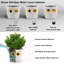 Statue Planter