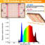 Ivy Bronx Grow Light