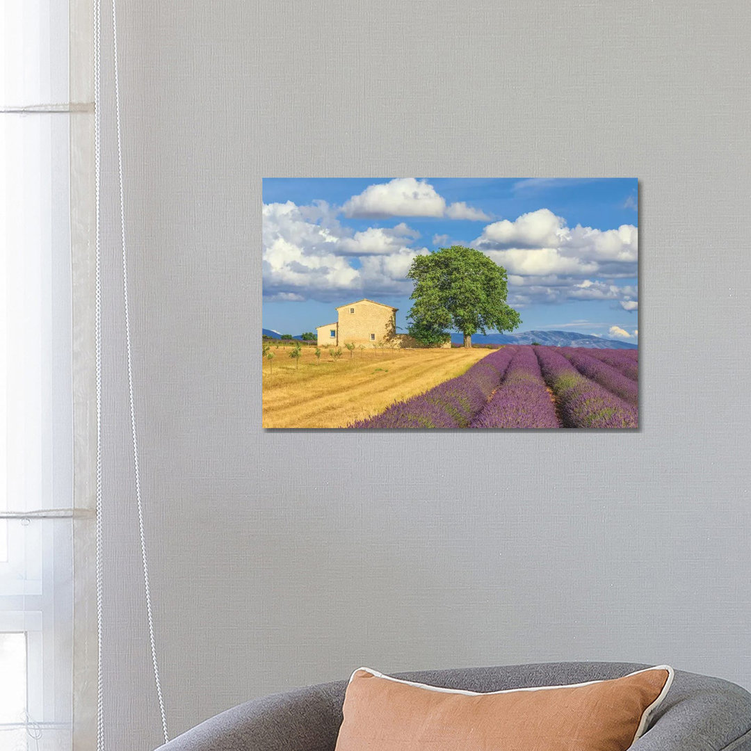 France, Provence, Valensole Plateau. Lavender Rows And Farmhouse.