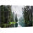 Lake River Landscape " Fall Green Forest With Lake Reflection "-93629559-93629563