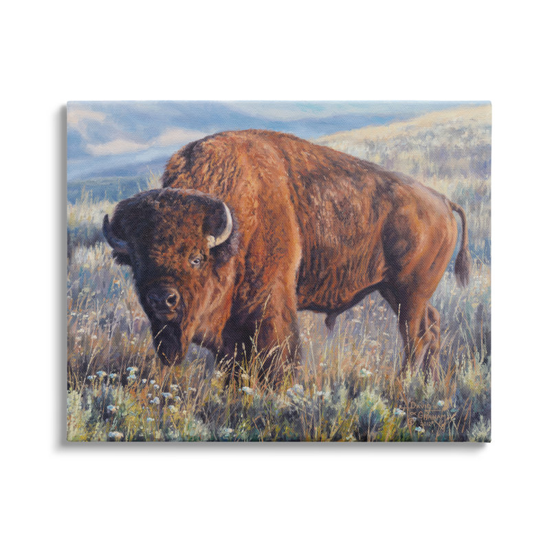 Bison qui broute dans la prairie sur toile par © David Graham, H 36 po x l 48 po x P 1,5 po