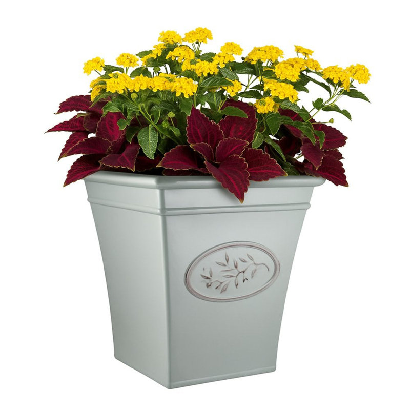 Pot Planter