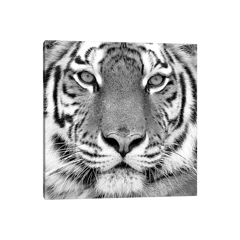 «Tiger» par PhotoINC Studio - impression d'art graphique, H 18 po x l 18 po x 1,5 po, Toile tendue
