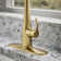 Simplice Pull Down Single Handle Kitchen Faucet