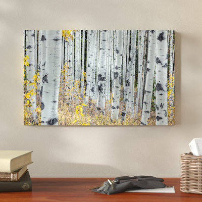" Forest of Aspens " Print