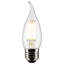 4 Watt LED Bulb