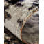 Bunn Area Rug-149650059