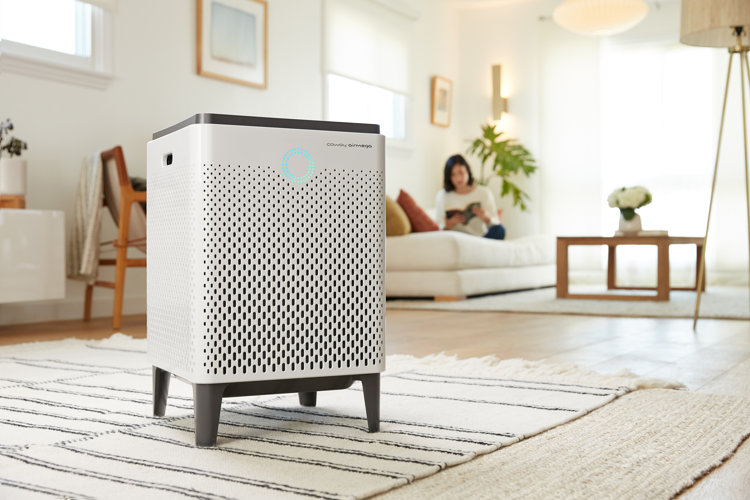 freestanding air purifier in a modern living room