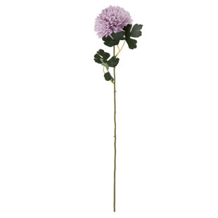 Arrangement