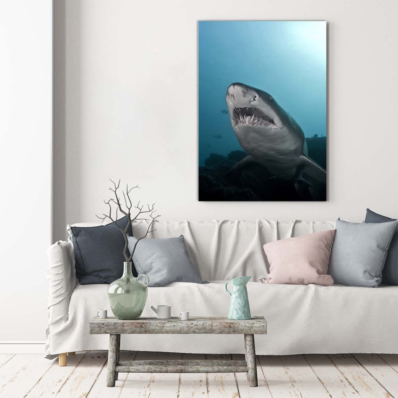 Big Shark - Wrapped Canvas Print