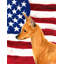 2 côtés en polyester de 2 côtés american drapeau de jardin-1288238444