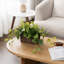27.9cm Faux Fir Plant