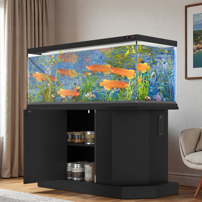 Support pour aquarium moderne avec prise de courant et armoire de rangement
