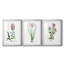 Rose Botanical I - reproduction sur mesure encadrée de qualité supérieure - 3 pièces-818852077-818852064