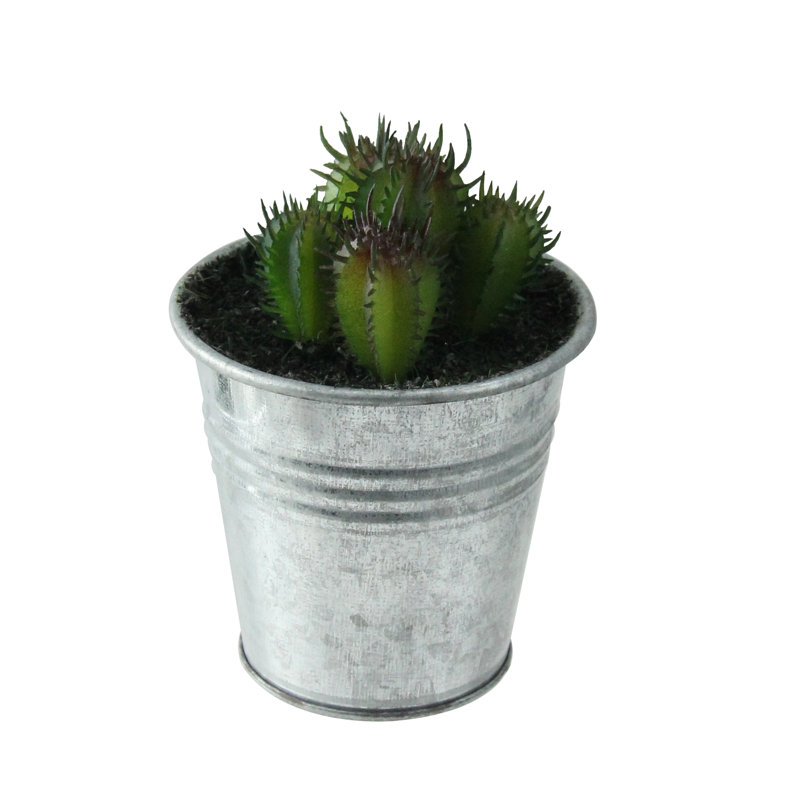 Mini Tropical Green and Red Artificial Cactus in Silver Tin Pot
