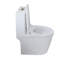 Petite toilette compacte une pièce à double chasse, profondeur courte 23 po pour petite salle de bain 10 po, blanc