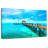 Aletra Caribbean Paradise-111982898