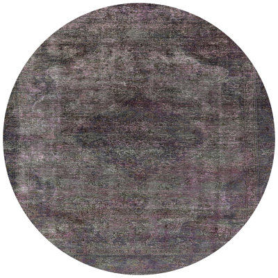 Indoor Rug