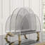 Tortoise Clear Acrylic Magazine Rack