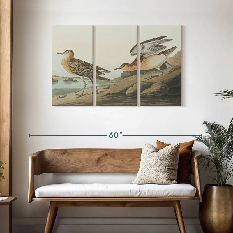 Brampt Buff Breasted Sandpiper, 28" H x 45" W