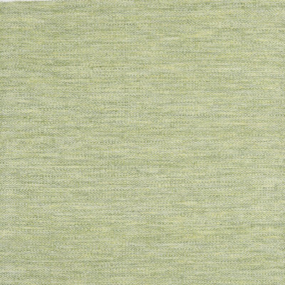 Indoor Rug