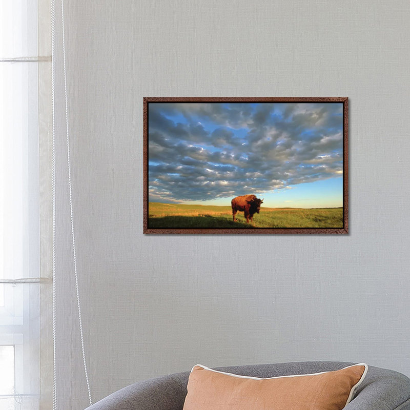 A Bison At The Fort Niobrara National Wildlife Refuge In Nebraska Near Valentine, Nebraska 1 Piece Wall Art on Canvas
