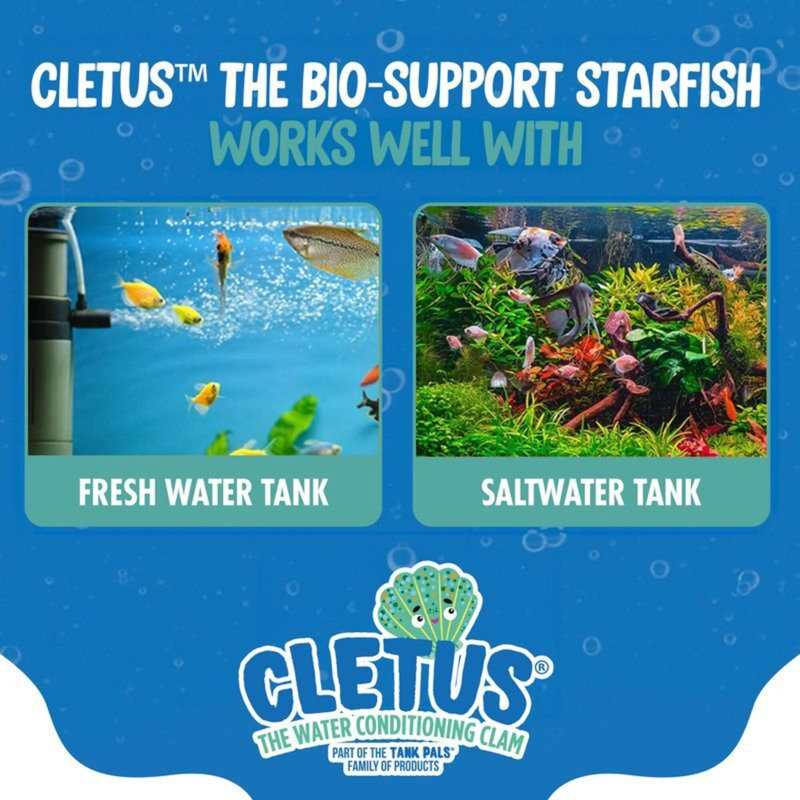 Water Conditioning: 6 Pk - Cletus, Blue