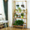 Roxanne Ladder Bookcase