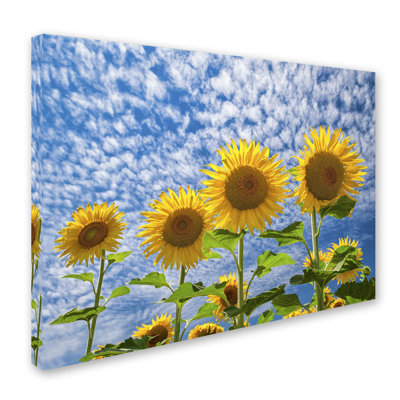 Cliffton 'The Four Sisters' Photographic Print on Wrapped Canvas