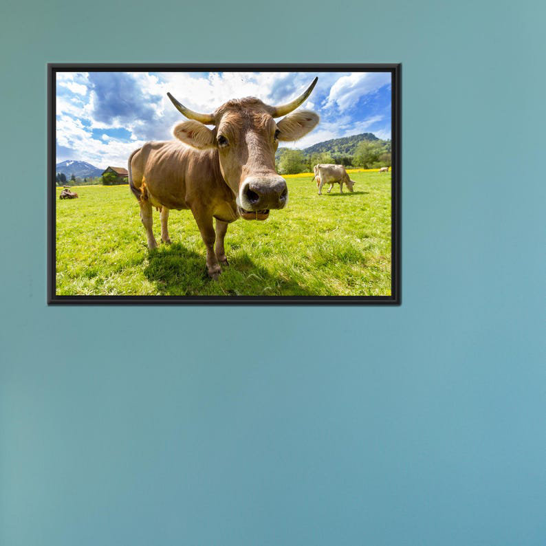 Print on Canvas, 25 cm H x 35 cm W, Framed Print without Mat, Black