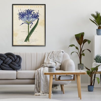 English Botany Blue Floral Framed Giclee, design by Susan Arnot