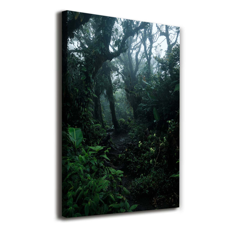The Rainforest - Wrapped Canvas Print