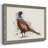 " Pheasant Splash 5 " Painting Print-645244921-645244897