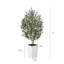 Adcock Faux Olive Tree with UV Protection, 2 Natural Tree Trunks, Large Decorative Potted Olive Tree-89410998-89410992