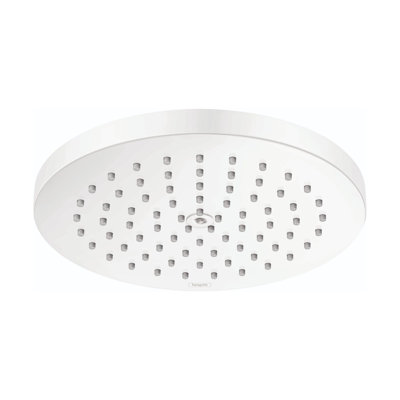 hansgrohe Raindance S Showerhead 180 1-Jet PowderRain