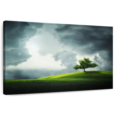 Alvord Cloudy Field