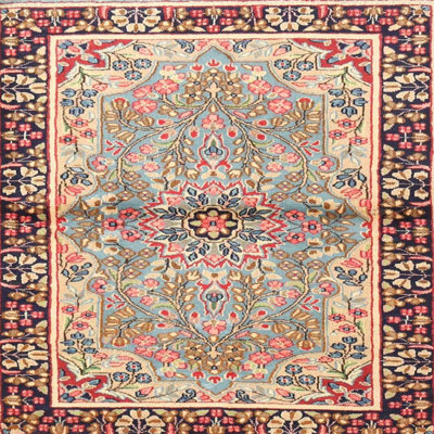 Sophy Oriental Indoor Rug