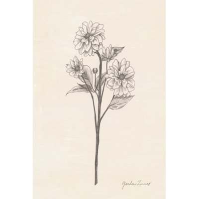 Jardin Zinnias I