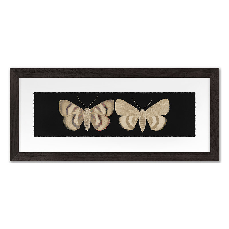 Flutter 10 Print by Todaro, Katie